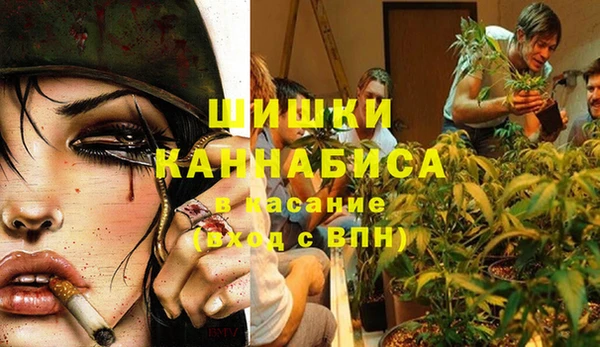 бутират Медногорск