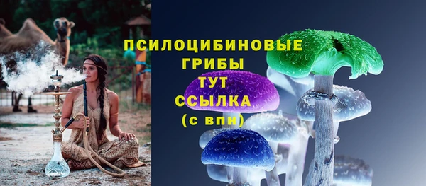 бутират Медногорск