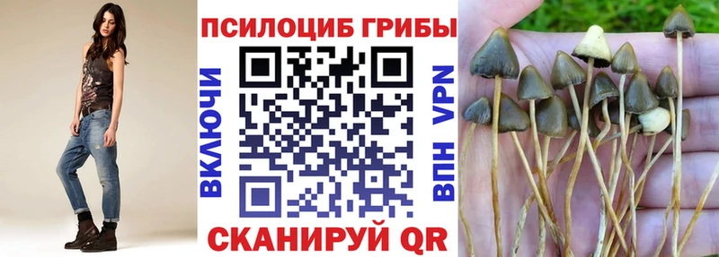 Купить закладки  Касимов  Галлюциногенные грибы мухоморы 